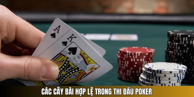 Poker - Siêu Phẩm Cá Cược Thuộc Top 1 Của Nền Tảng 8KBET 2 Các cây bài hợp lệ trong thi đấu poker